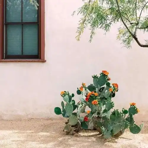 背景图可可爱爱的朋友圈背景图
