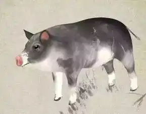 4月8.9号,运势抽中上上签,好运当头的生肖
