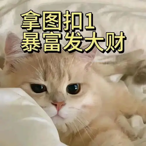 男生微信头像大全今日头条
