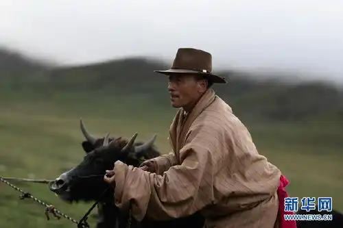 夏日高原牧场生机勃勃牧歌回荡
