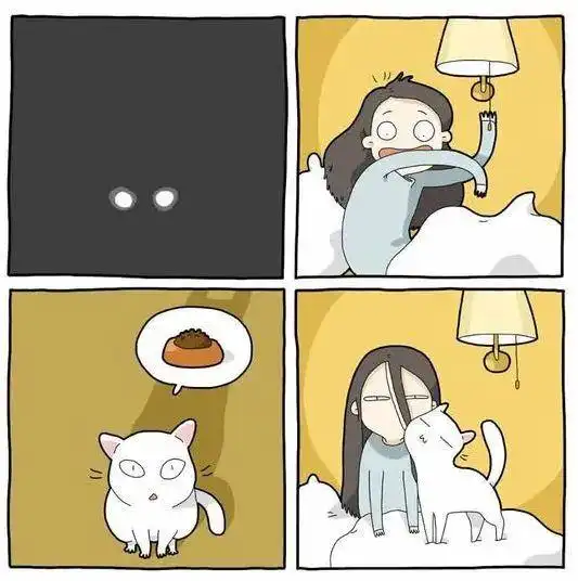 猫咪总是打扰我睡觉怎么办2步让你呼呼大睡到天明
