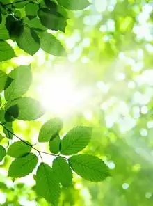 我们因为怕失去一个人,所以才总是掏心掏肺
