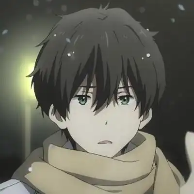 动漫男头男头千千万,折木奉太郎占一半
