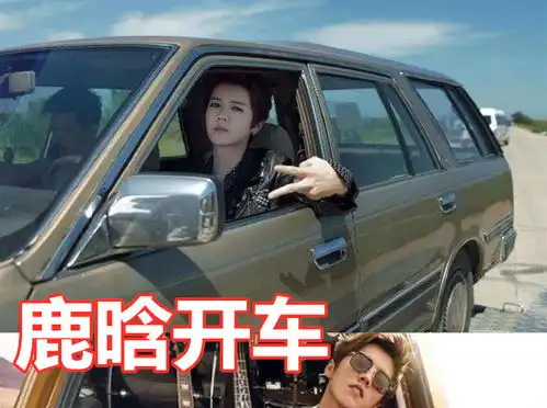 易烊千玺开车霸气,肖战开车高贵,看到王俊凯想要你送我上学
