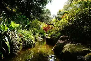 自驾游社区易车
