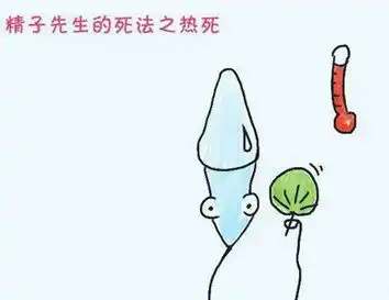 揭秘男人精子的15种悲惨死法
