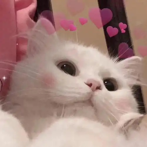 教各位姐妹一个戴口罩脸上不留印的方法
