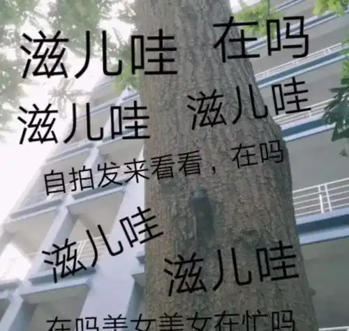 男生这样追你,千万别答应男生套路你的五个细节stage初中同学
