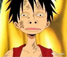 海贼王路飞的逗比作战形态,网友来搞笑的吧
