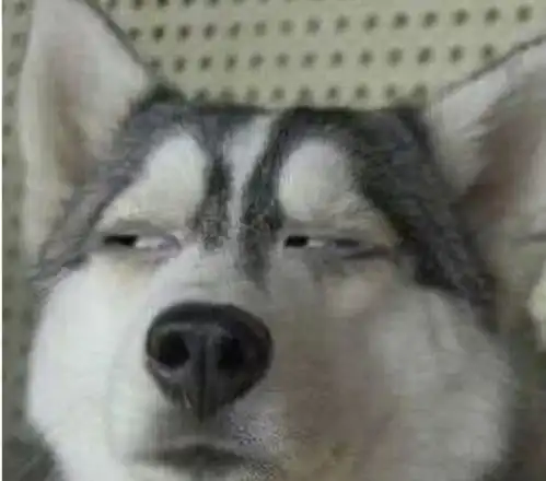 幽默笑话小姨子比较胖,二十八岁了还没男朋友,今天她去买水果
