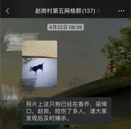 3岁男童被狗咬伤18天后身亡,河南新野县警方已提级调查
