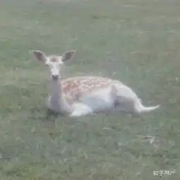 有哪些阳光开朗的头像
