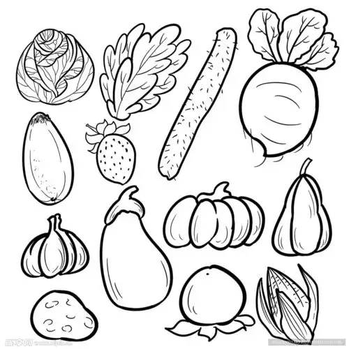 简笔画蔬菜黑白线稿设计图其他图标标志图标
