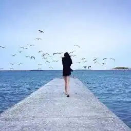 情到深处人孤独,爱到浓时心会痛

