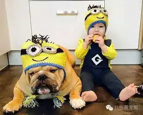 从出生起便和斗牛犬吃睡玩在一起,成为了形影不离的好朋友
