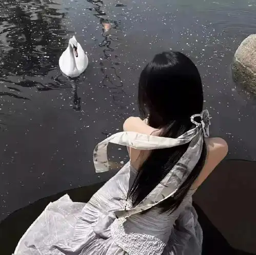 高级感背影头像
