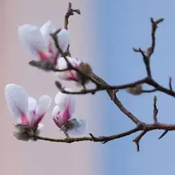 qq头像大全qq情侣头像qq男生头像qq女生头像扣扣居
