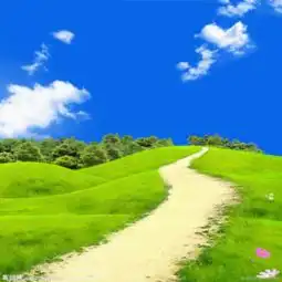 天道自然的词语出处
