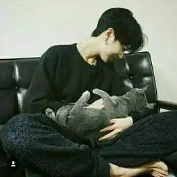 头像男抱猫跳楼