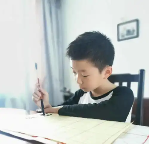 在书海中的徜徉
