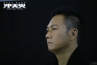 冲天火广州见面会林岭东点评三男神
