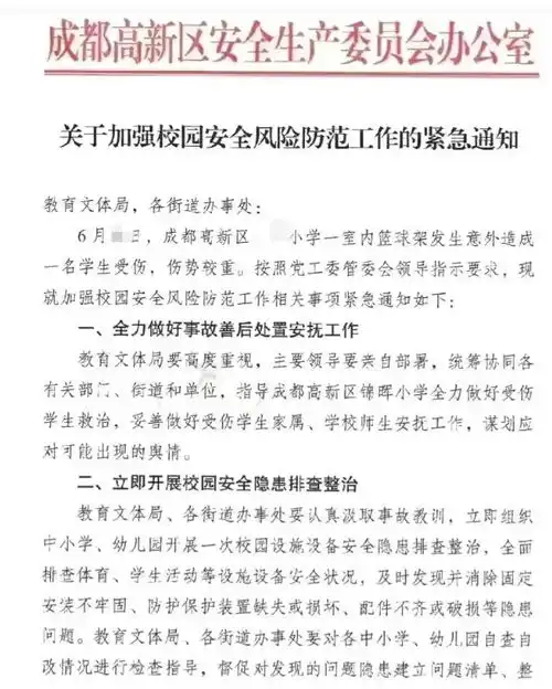 网传四川一小学篮球架倒下,砸中11岁小学生,知情人透露更多细节
