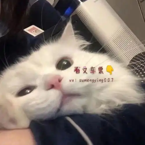 小甜文合集高甜来袭,剧情超甜,男主又超宠女主,看的全程姨母笑
