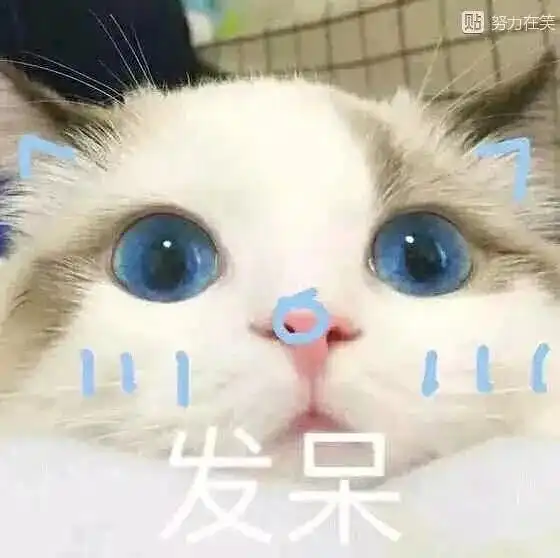 91年小哥哥找女友,坐标杭州
