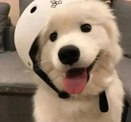 水逆对12星座的影响8月篇,翻身以及自控
