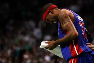 汉密尔顿胳膊肘反向弯曲面具男下场能否出战生疑
