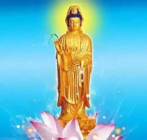 请您接福看到的有福了大美