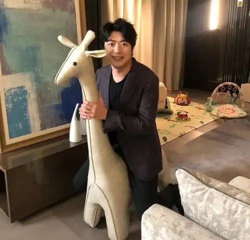 吉娜官宣生子,一家三口握手照超暖,郎朗给儿子买了脚踏钢琴
