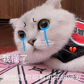 韩系轻熟感搭配,气质熟男的必选穿搭

