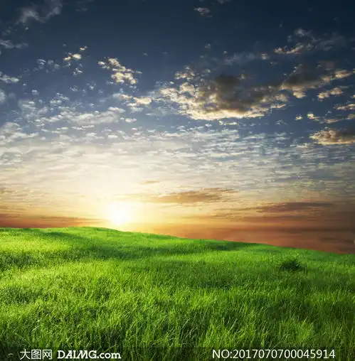 夕阳下的草地美景摄影图片