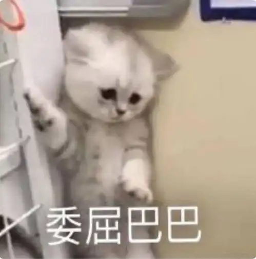 高中时代喜欢的人最后在一起了吗
