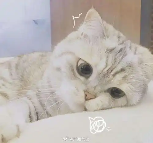 五一假期后期广西多降雨

