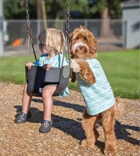 最暖萌画面萌娃与萌犬的超可爱穿搭
