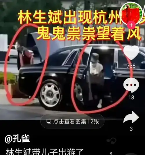 林生斌事件新线索开豪车带4岁儿子出游,任真真曾还申请专利
