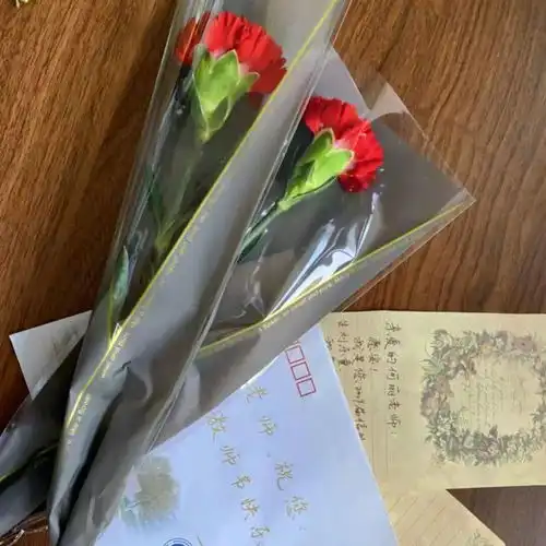 今天,让我们手捧鲜花走向您
