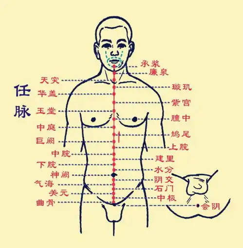 腹式呼吸最有效的修行调息功法
