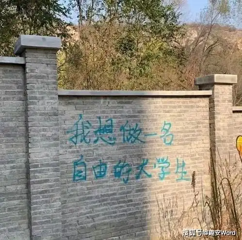 磨刀不误砍柴工,读完本科再打工
