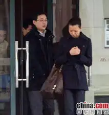 传董卿要结婚已开始筹备某集团董事长为新郎
