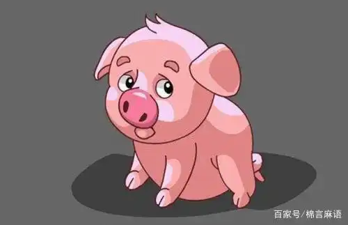 和猪相冲的属相有哪些
