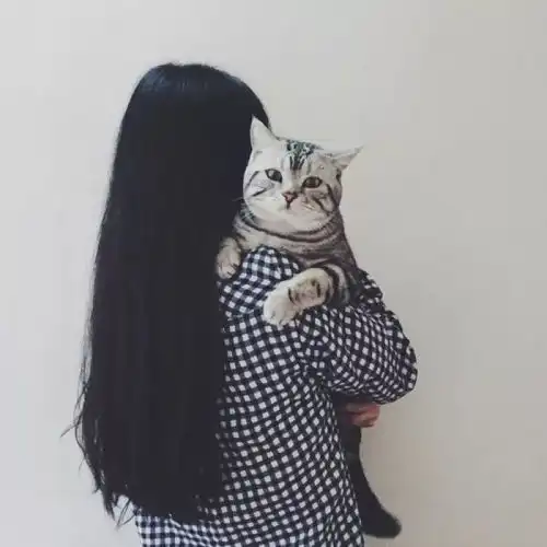 少女与喵我喜欢你你会知道
