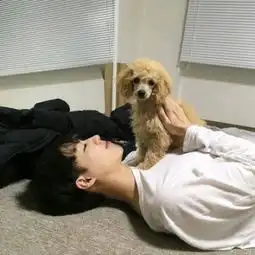 动物男头我们把世界看错,反说它欺qq男生头像我要个性网
