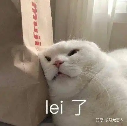 喜欢这个颜色雨伞的男生是什么性格
