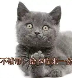一周两次起息机会,还怕你的钱不能早点变胖吗
