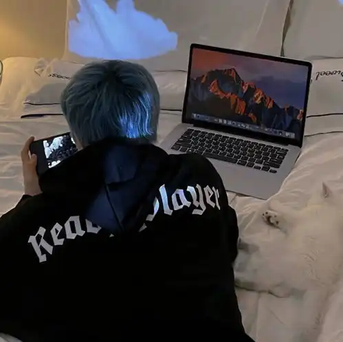 不明显的小众情头
