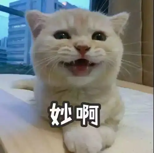 转发给你身边的直男
