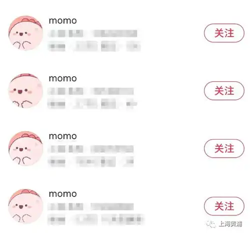 momo物语老板是谁今日头条
